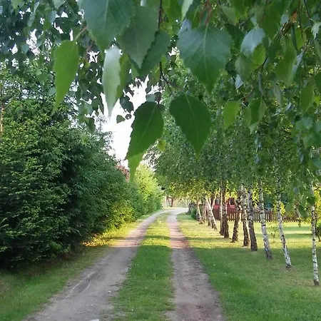 Agrodomek